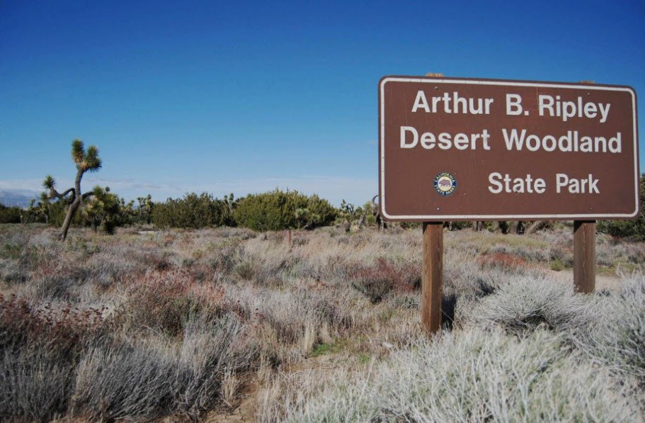 Arthur B. Ripley Desert Woodland State Park, California, USA